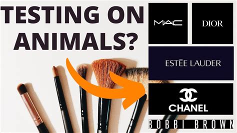 does dior do animal testing|why is dior cruelty free.